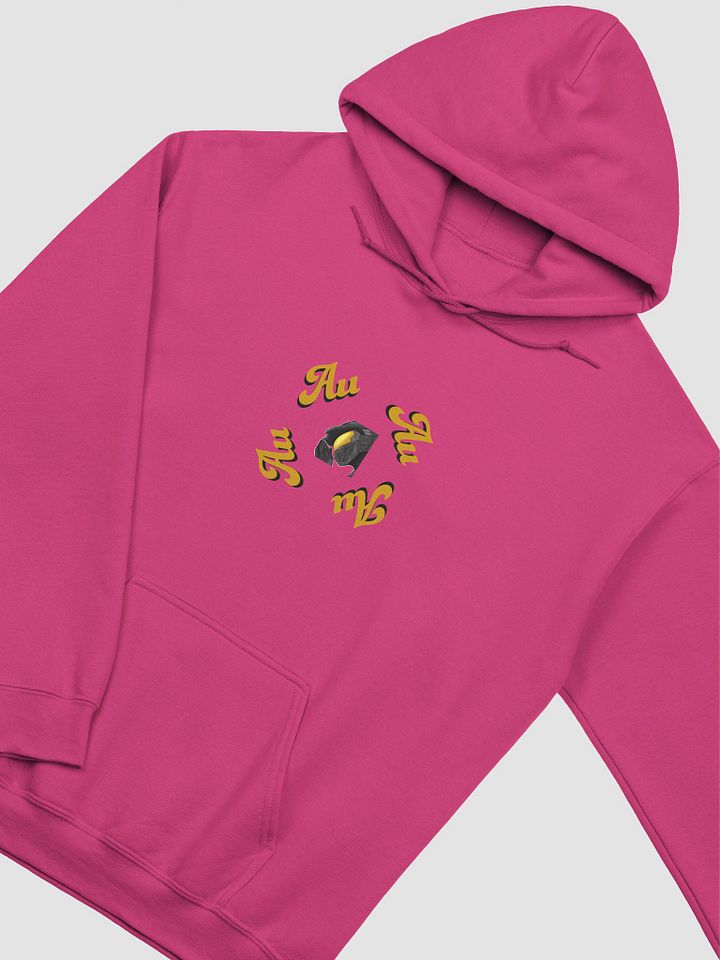 Article 6 - Health (Light) Hoodie product image (1)