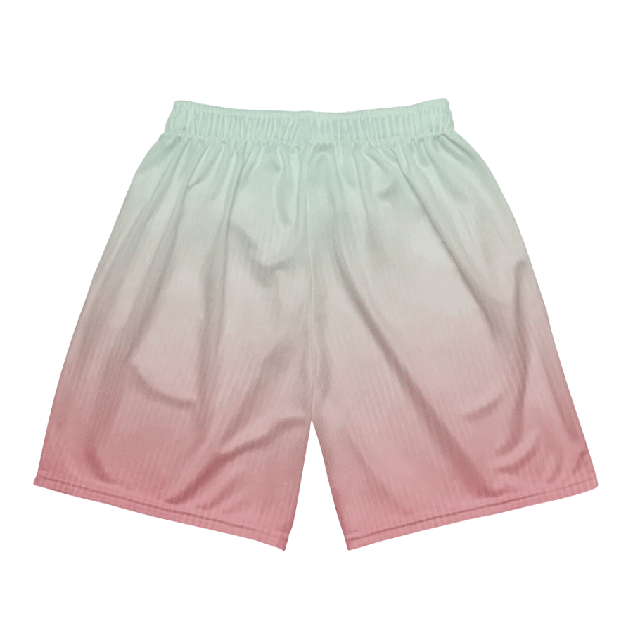 EcoChic Gradient Mesh Shorts product image (5)