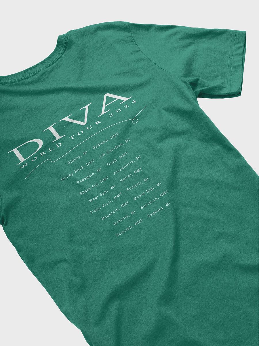 Diva World Tour 2024 product image (5)