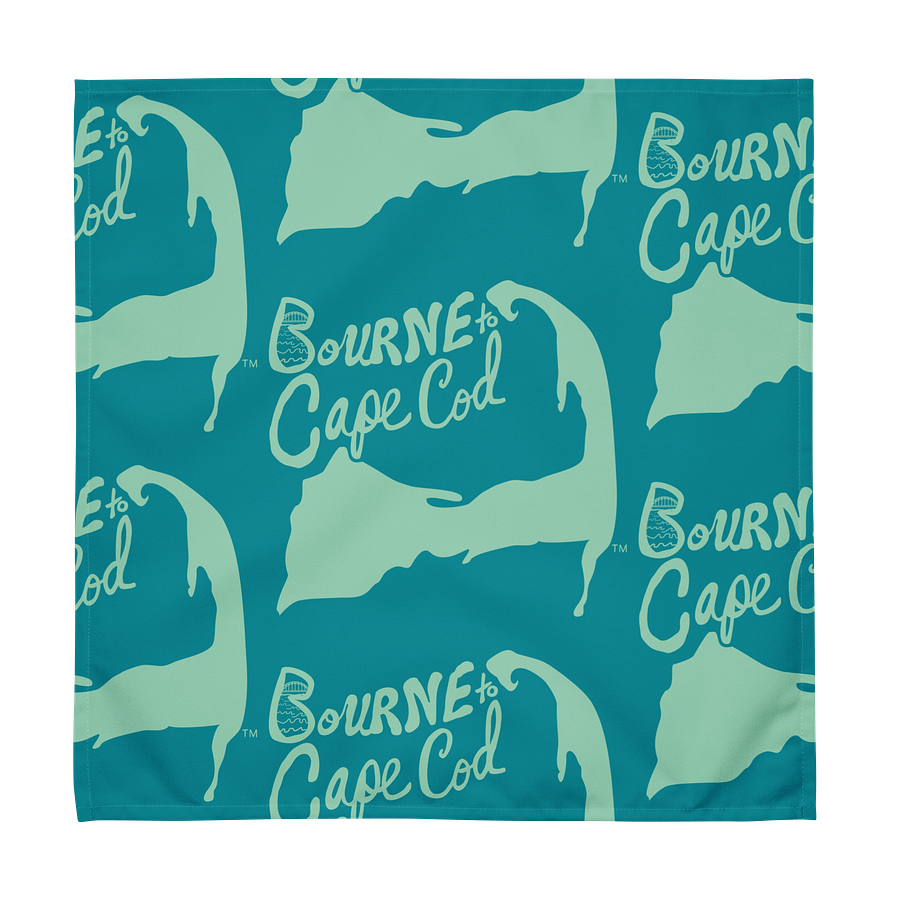 🌀BOURNE to Cape Cod™ | Logo Print Cloth Napkin Set (4) | Coastal Dining Essentials | Multi-Colored product image (8)