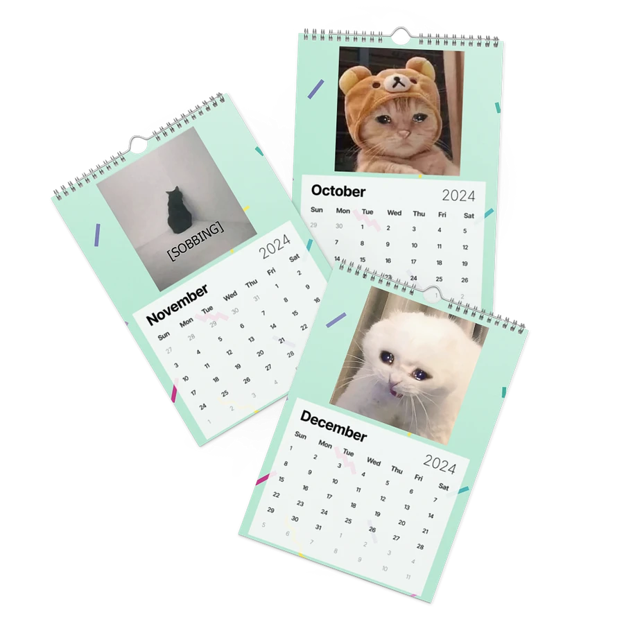 Wall Calendar (2024): Meme Cats product image (17)