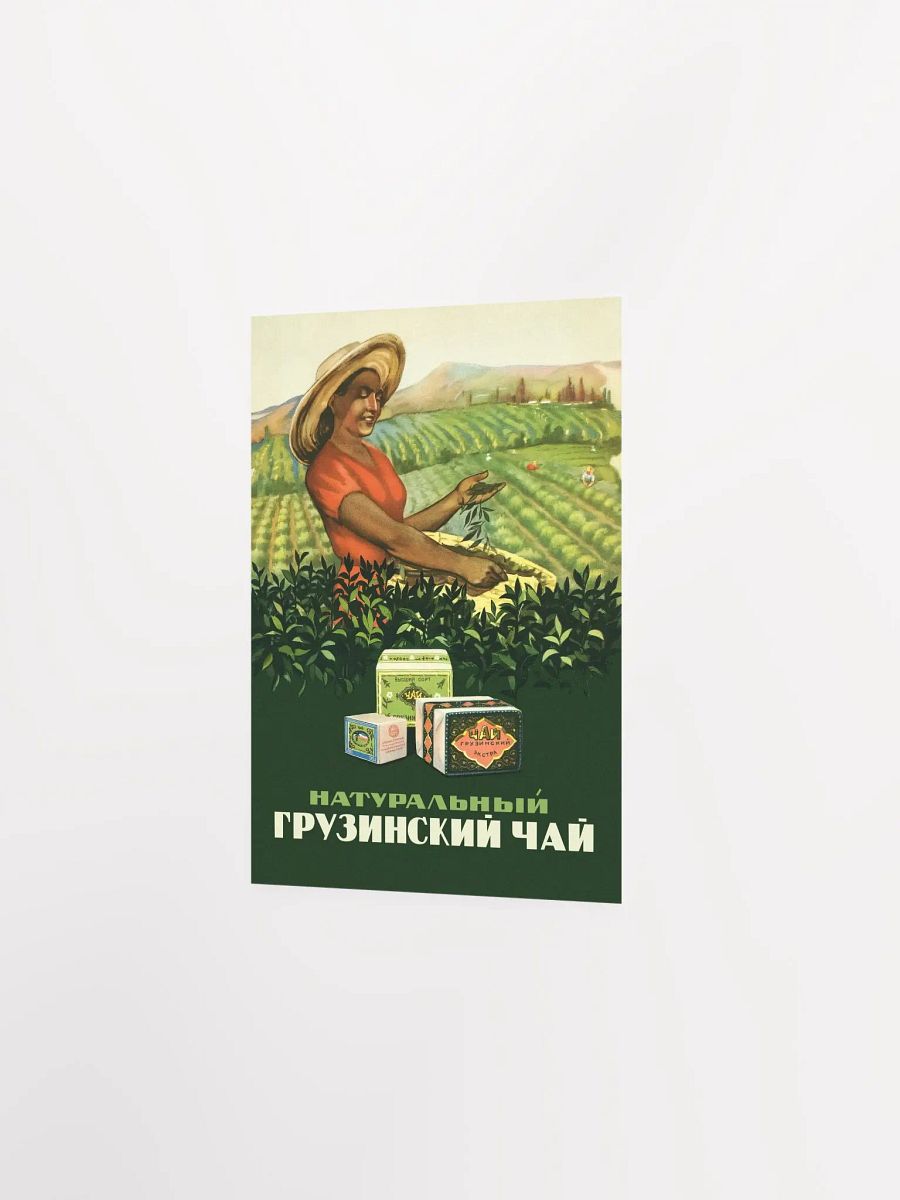 Soviet Georgian tea, USSR/Sakartvelo/საქართველო, 1956 — Soviet vintage tea poster, kitchen prints, vintage tea print, propaganda poster product image (7)