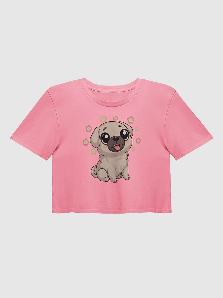 Charlie Joy acnh Crop Top Centered product image (1)