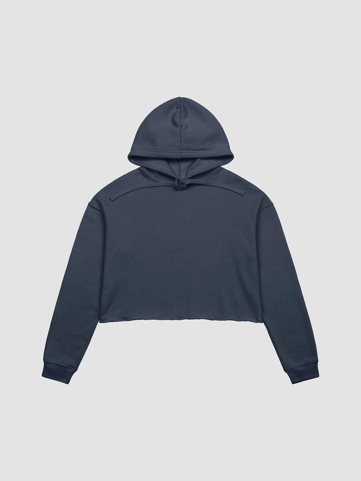 Alexafloe Crop Hoodie product image (1)