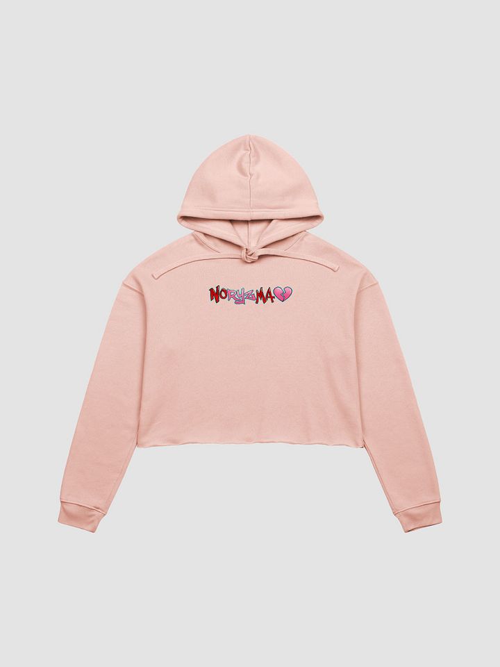 Noryzma Crop Top Hoodie product image (1)
