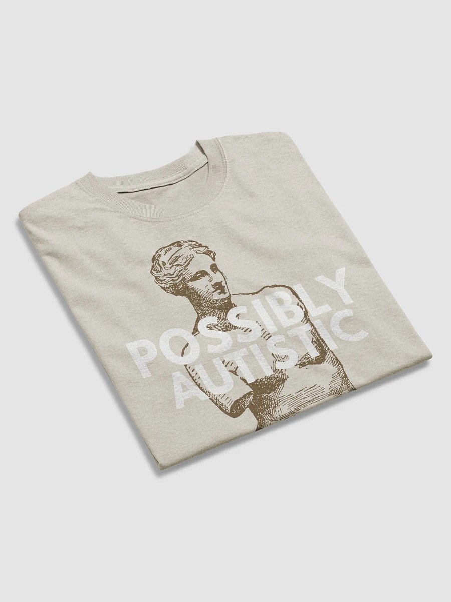 POSSIBLY AUTISTIC - SHIRT product image (4)