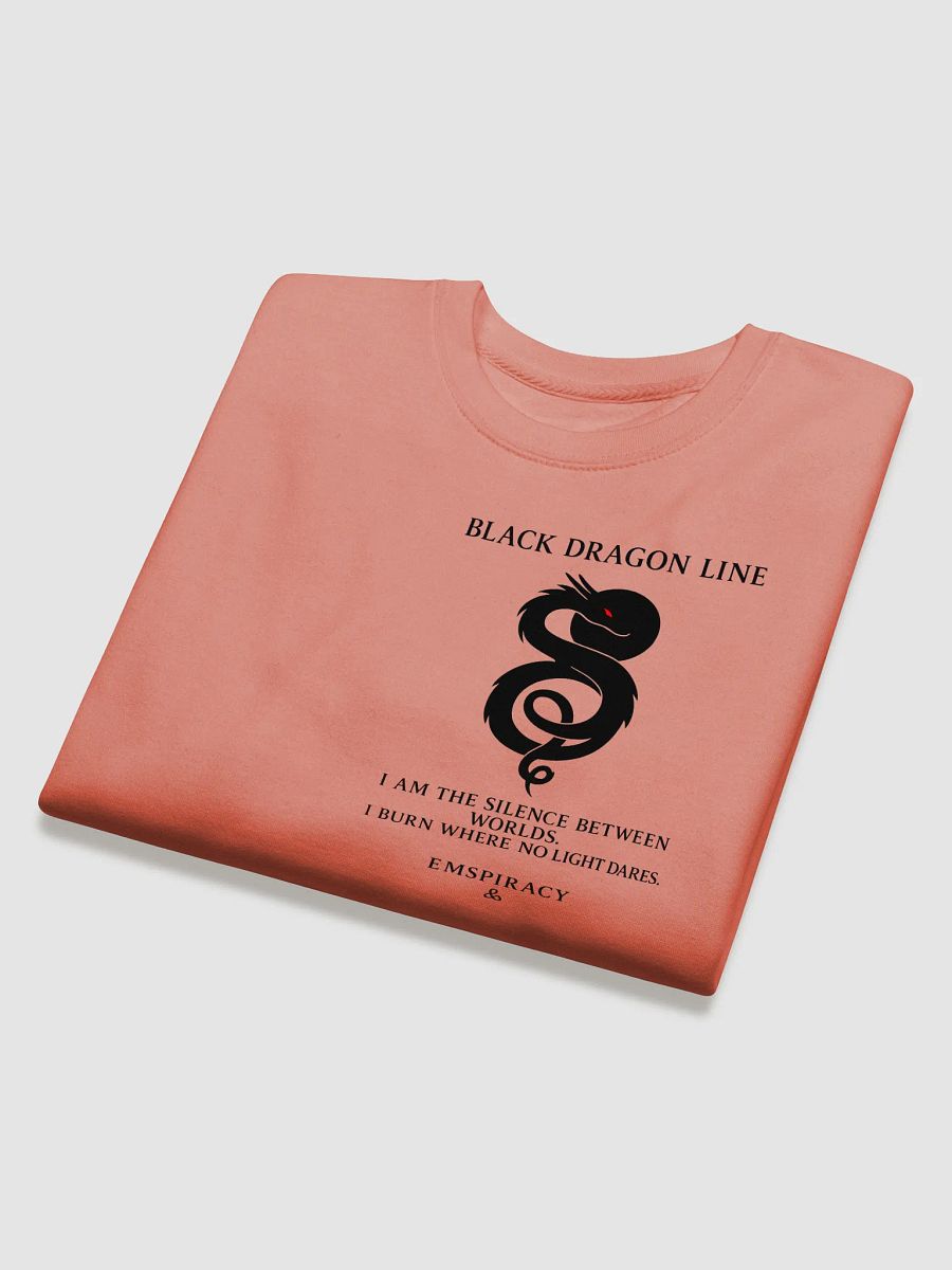 ⬛ BLACK DRAGON — SWEATER product image (32)