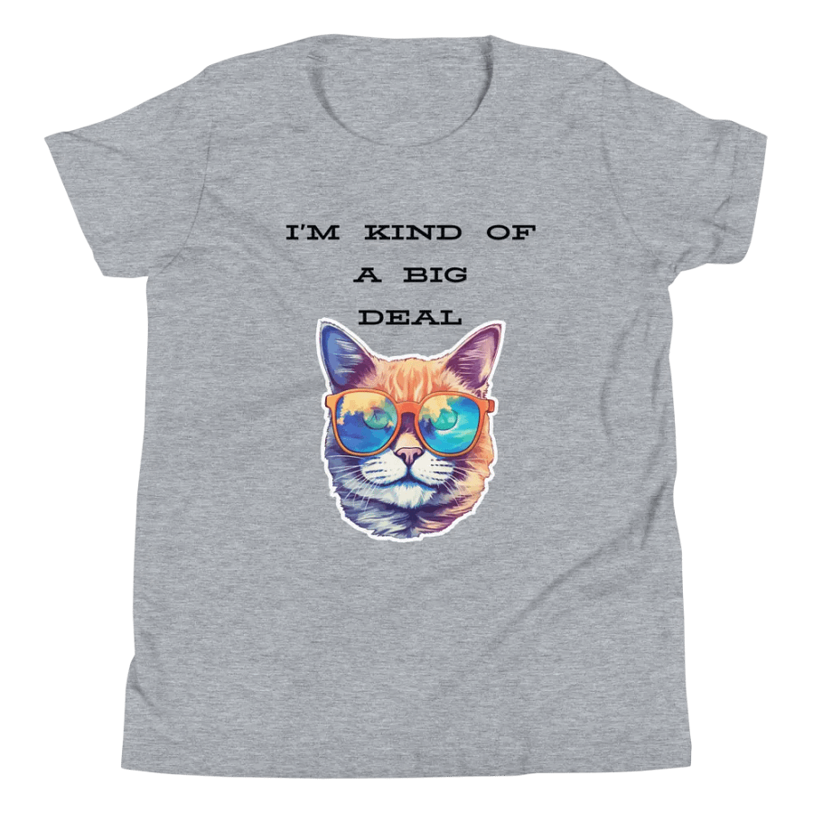 I'm kind of a big deal Youth T-Shirt product image (31)