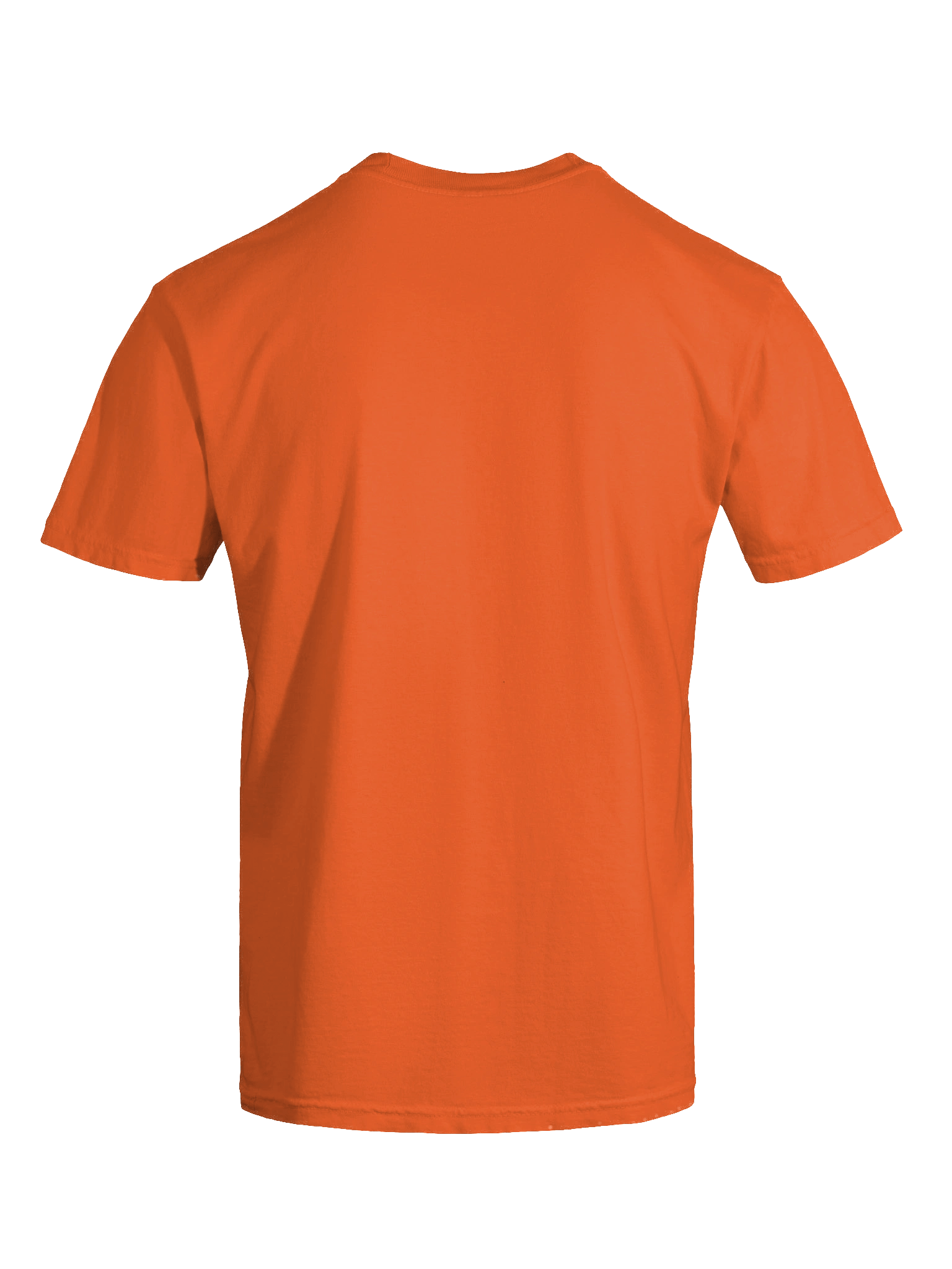 Bricks 'O' Brian Halloween T-Shirt for Adults product image (19)