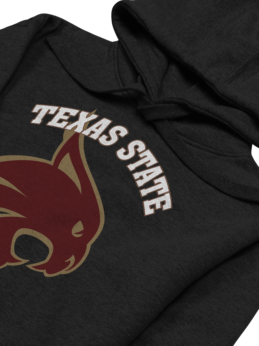 TEXAS STATE Premium Hoodie product image (3)