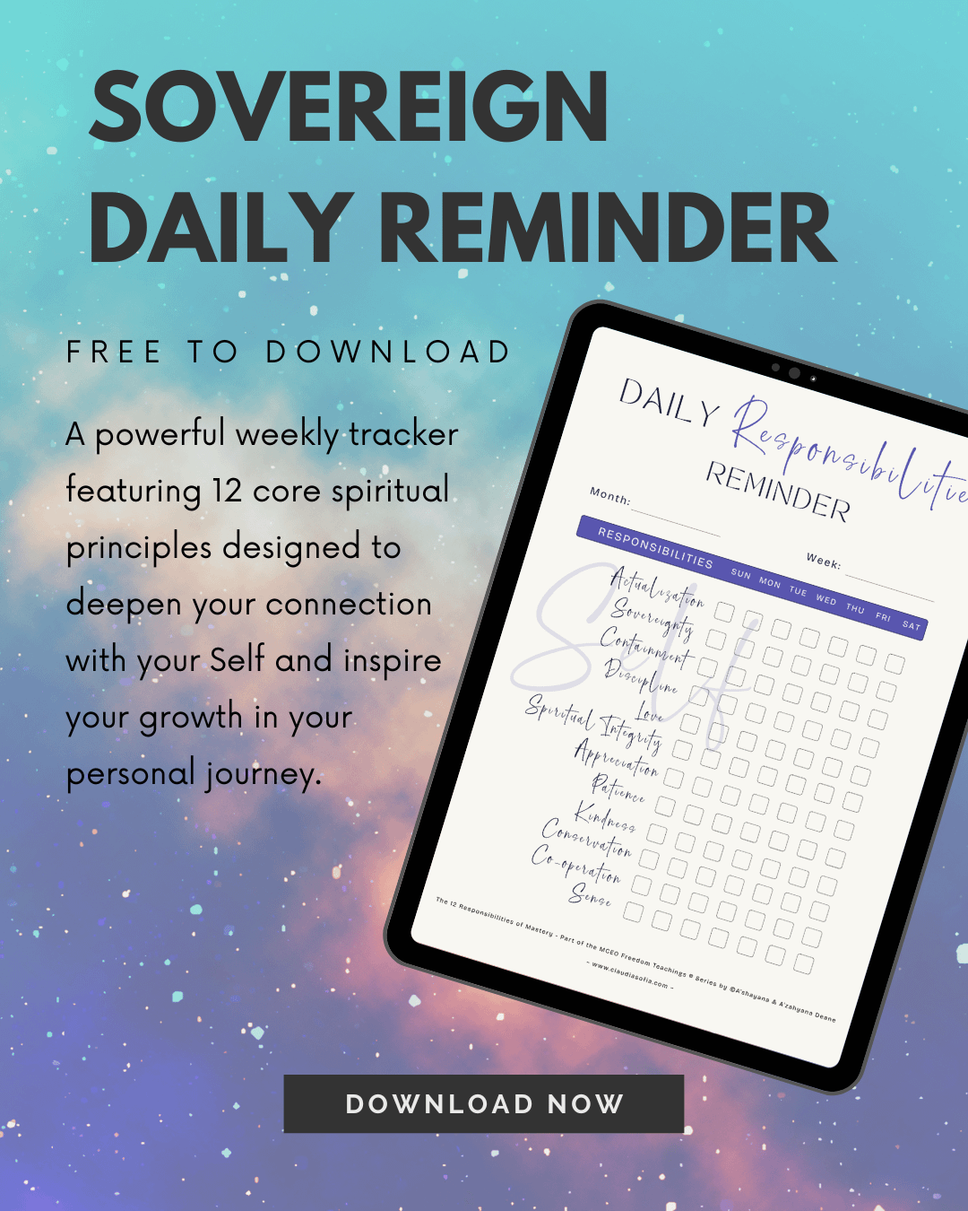 Daily Responsibilities Reminder product image (1)