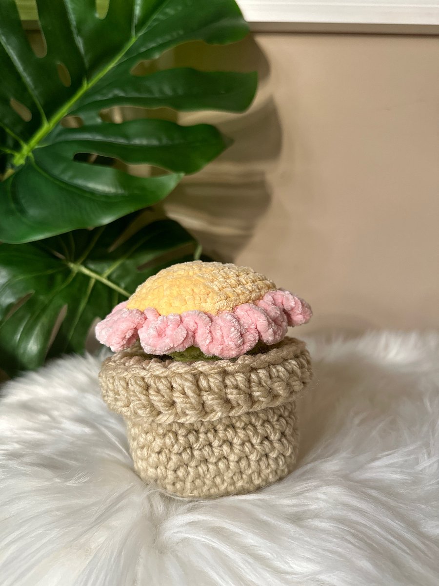 Baby Sunflower & Flower Pot product image (3)