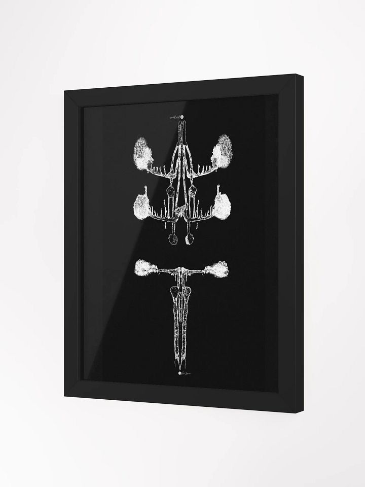 Inkblot no.4 | Framed Print | 11 x 16 product image (2)