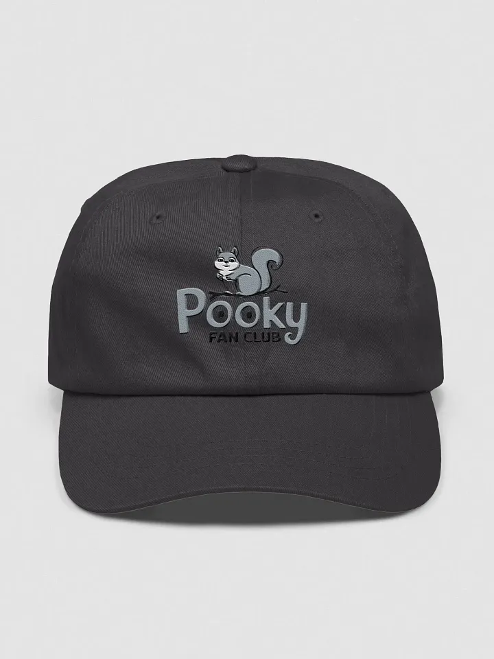 Baseball Hat Embroidered: Pooky Fan club, grey pooky product image (1)