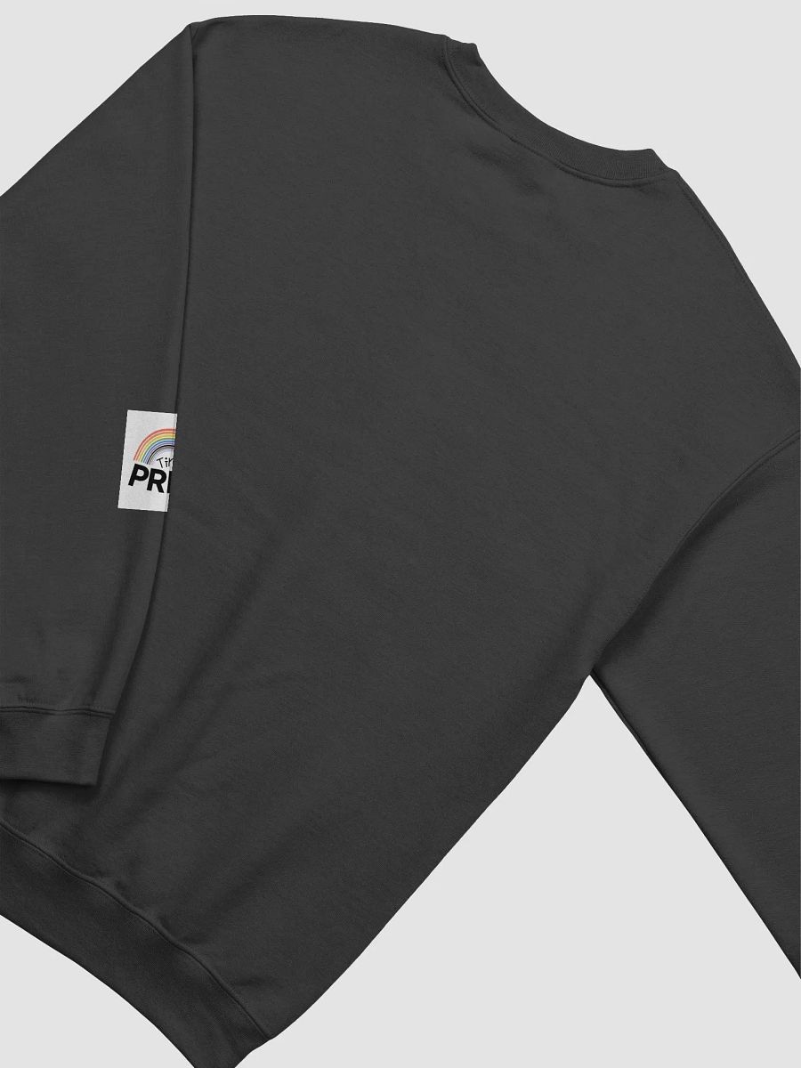 Pride on Your Sleeve product image (42)