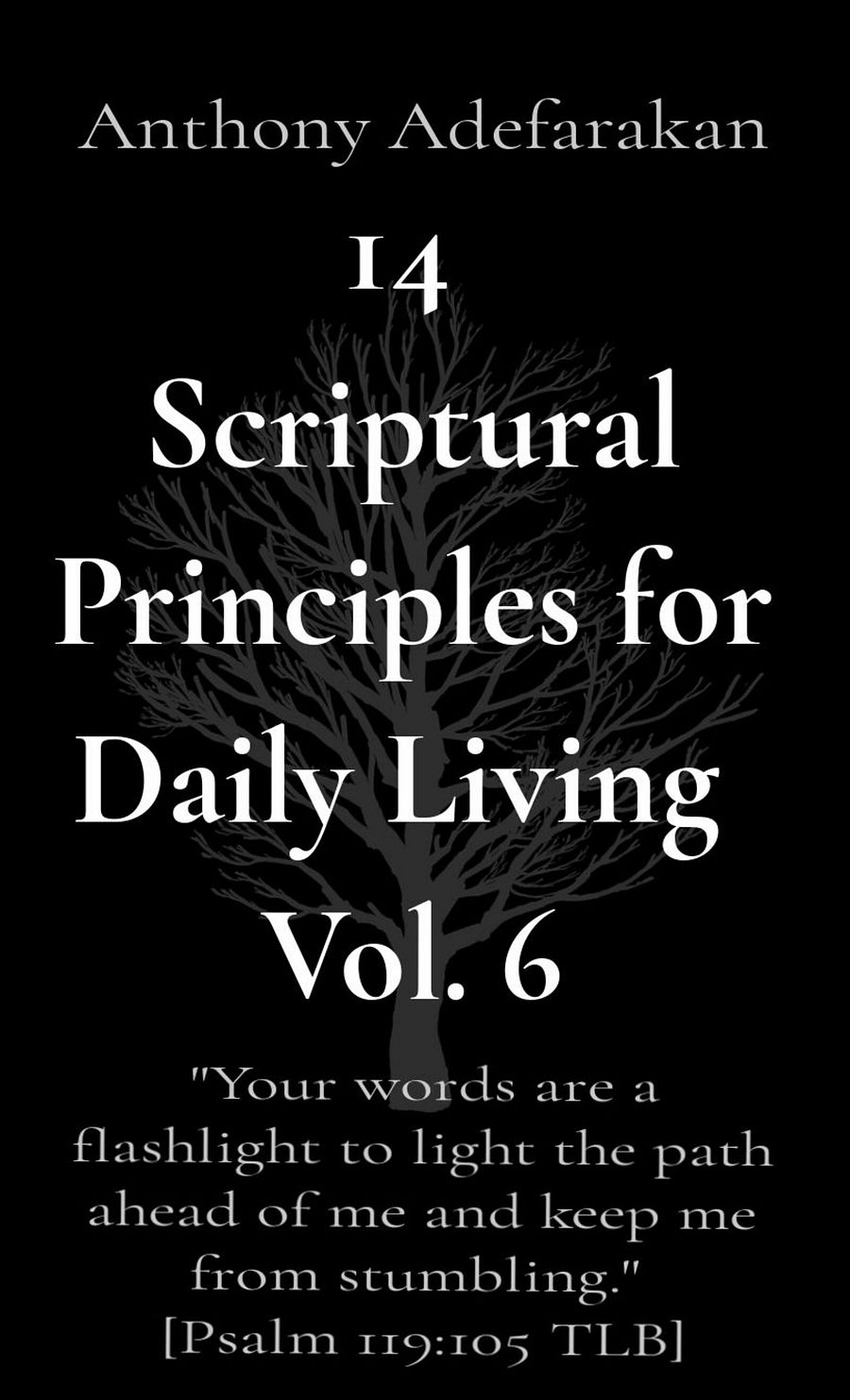 14 Scriptural Principles for Daily Living - Vol. 6 _ Ebook product image (1)