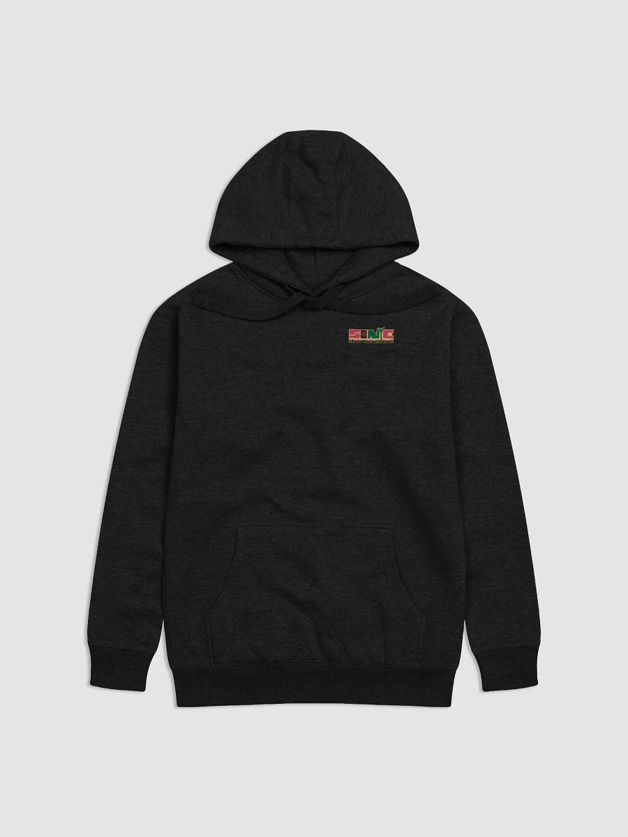 Sonic Maroons Hoodie product image (3)