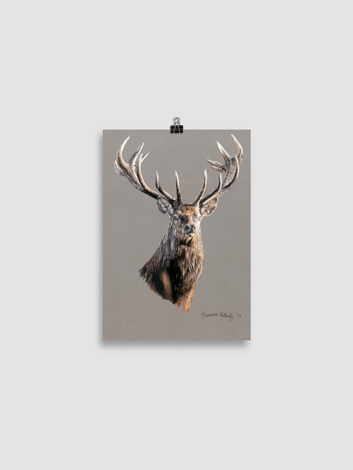 Elk Enhanced Matte Paper Poster product image (2)