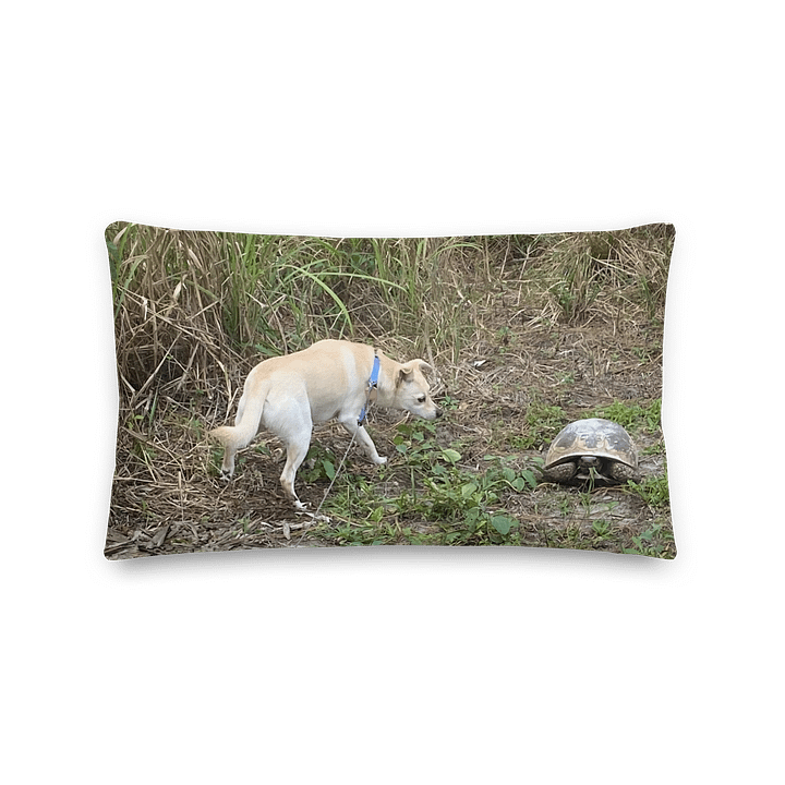 Curious Canine Premium Pillow product image (1)