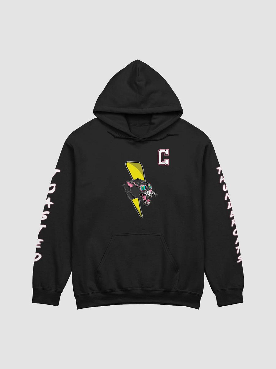 Toasted Thundercats Gilden Hoodie product image (25)