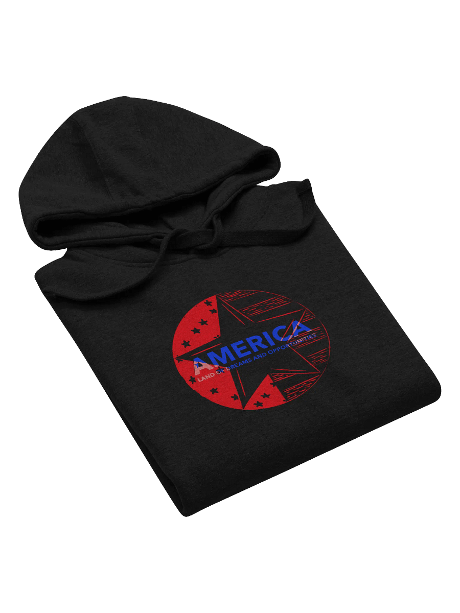 America Dreams & Opportunities Premium Hoodie product image (2)