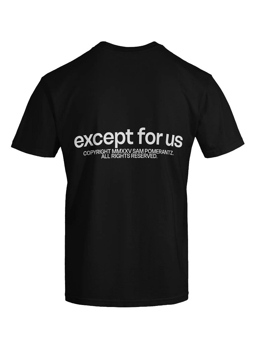Except For Us Threshold Tee product image (6)