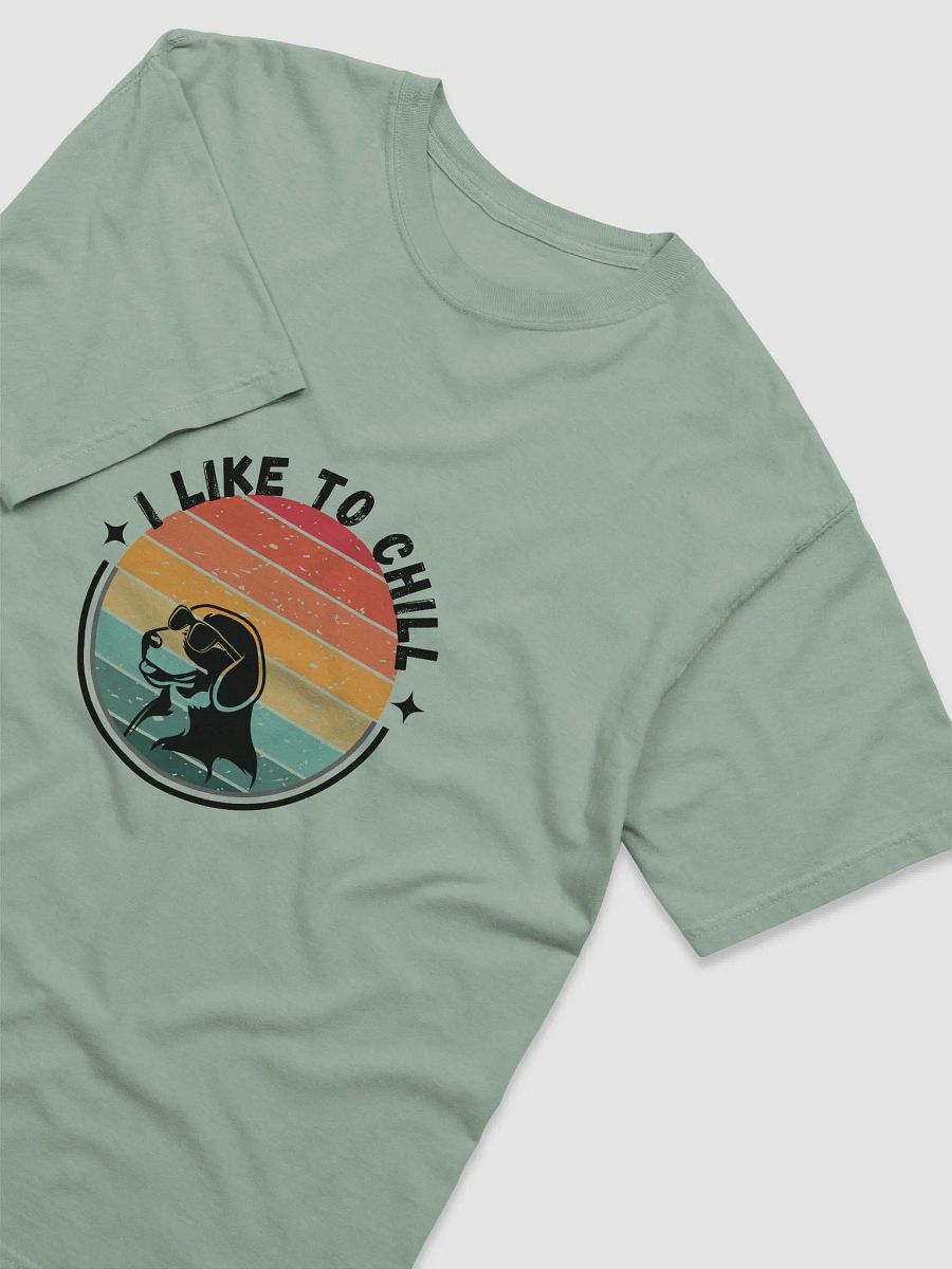 I Like to Chill Tee product image (35)