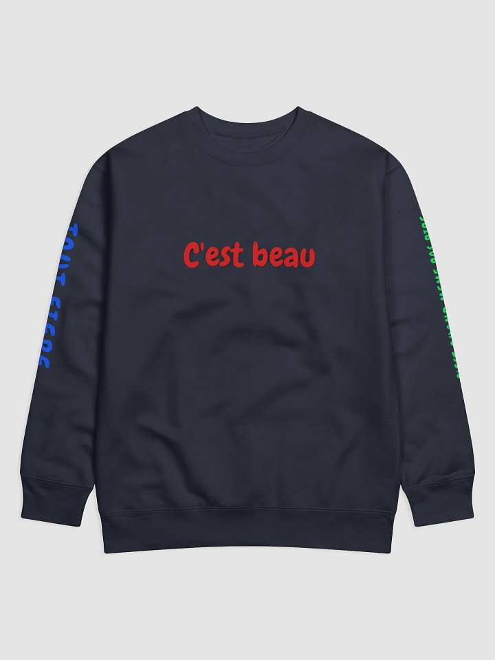 CEST BEAU HOODIE product image (5)