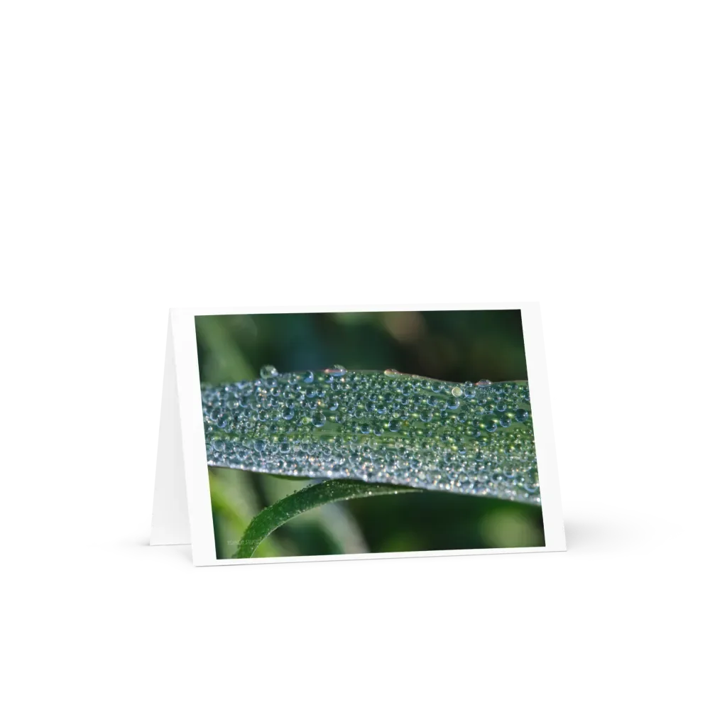 Dew-Encrusted Grass Greeting Card product image (3)