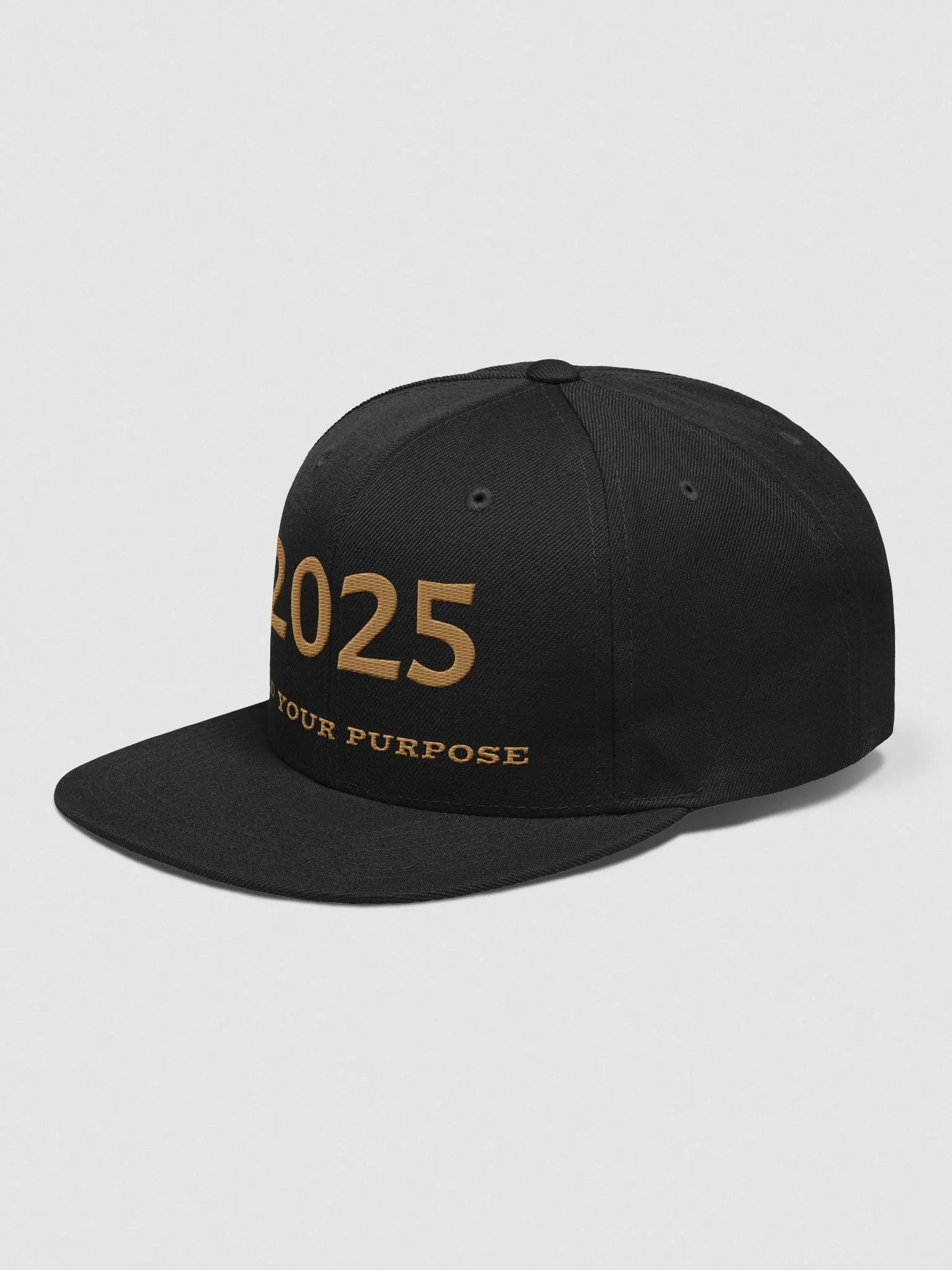 2025 Purpose Finder Snapback Cap product image (20)