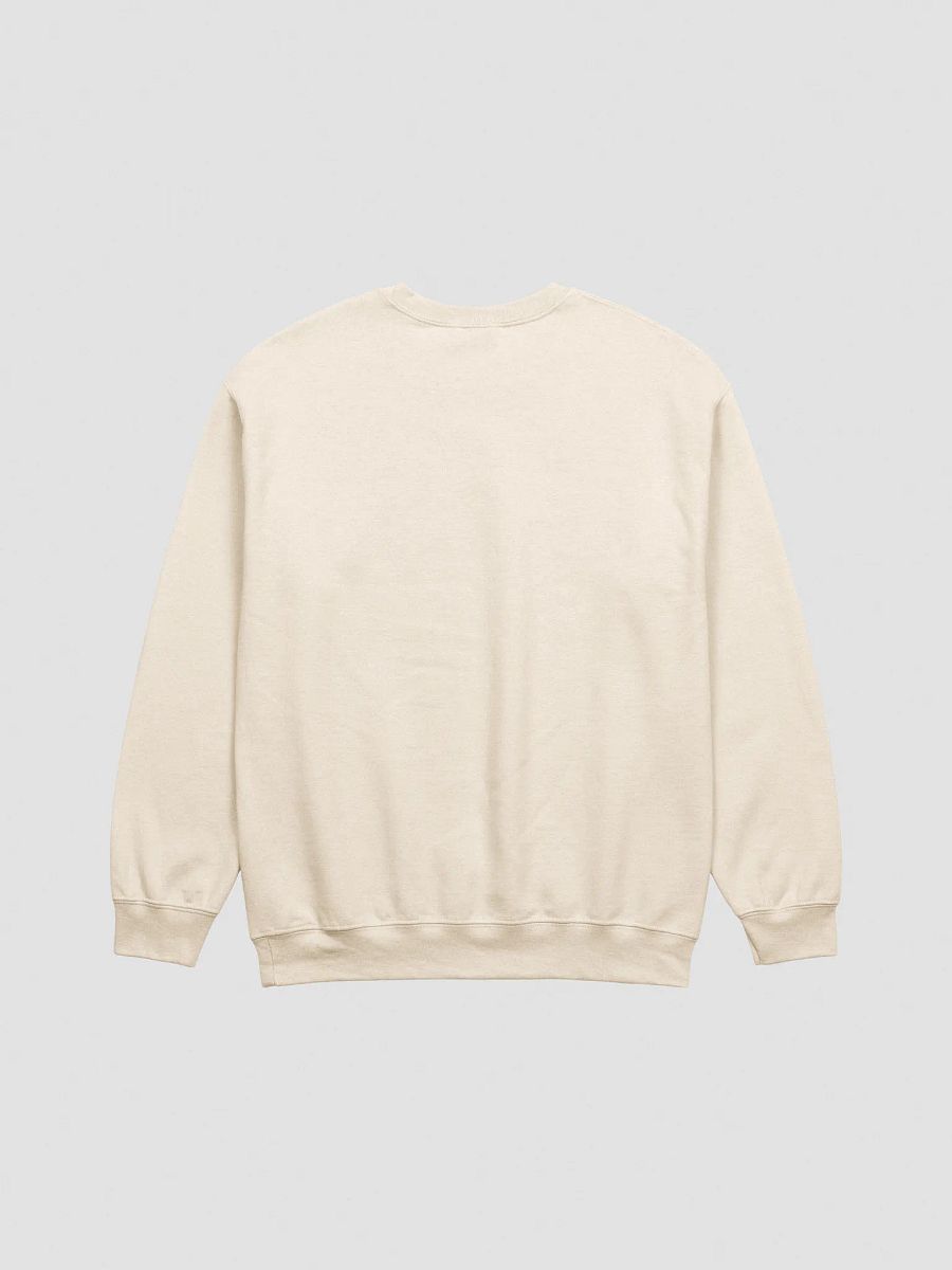 Dream Big Embroidery Sweatshirt product image (24)