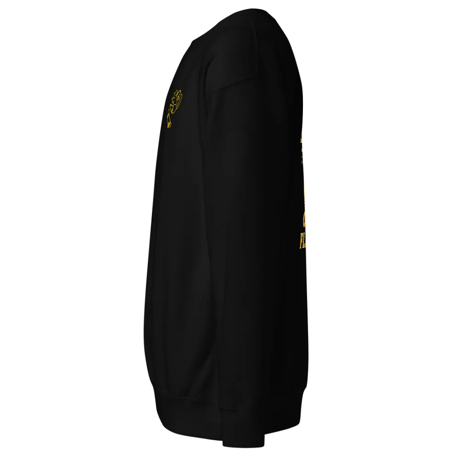 Flip Side Sweatshirt product image (4)