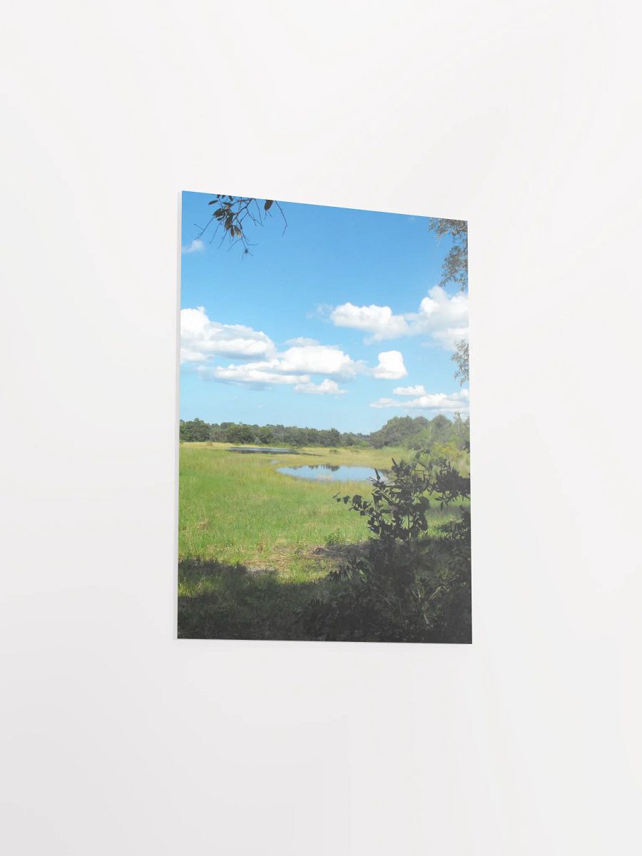 Florida Pond product image (42)