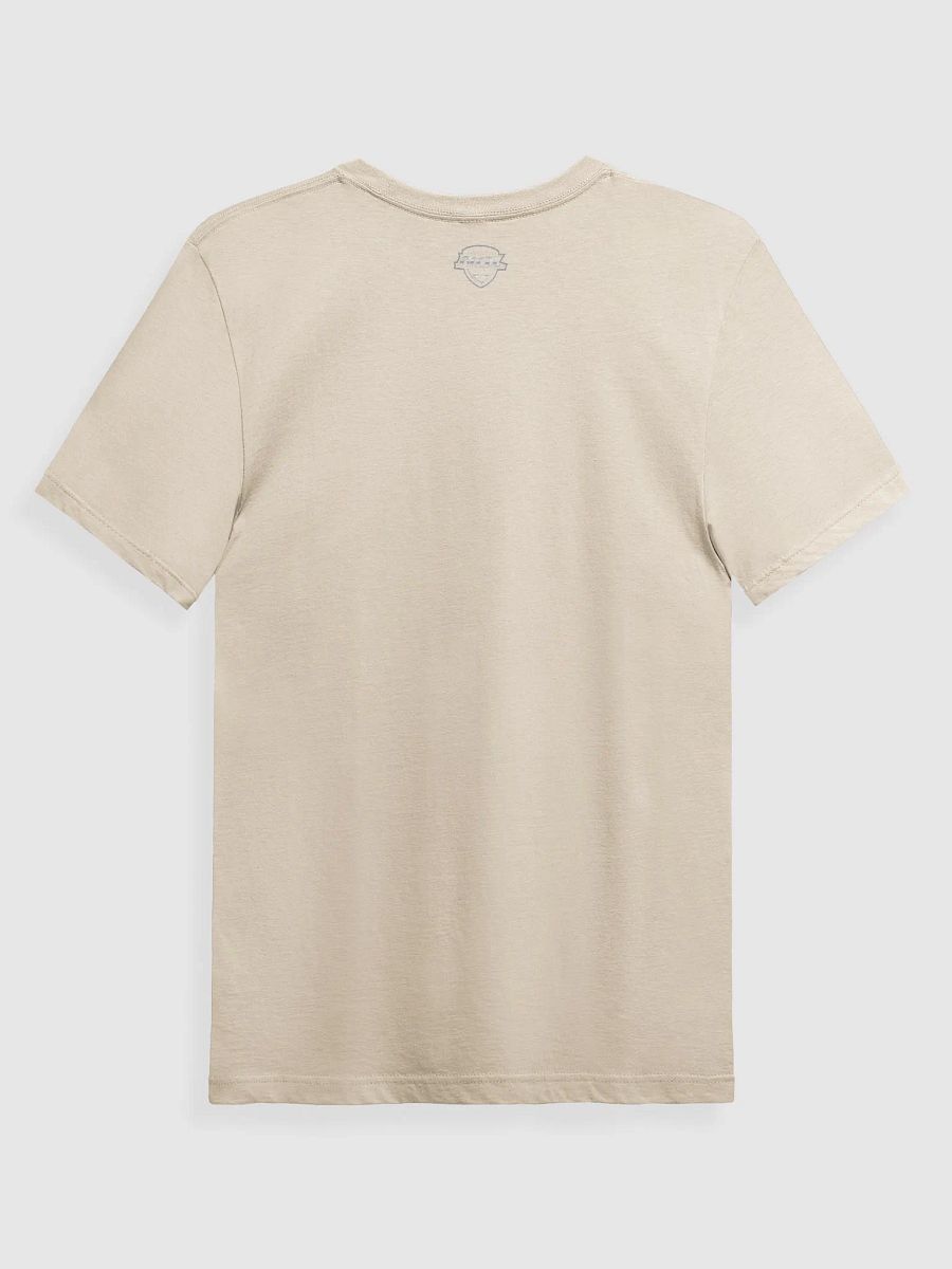 Tampa Bay Storm VFX Classic T-Shirt by Next Level product image (13)