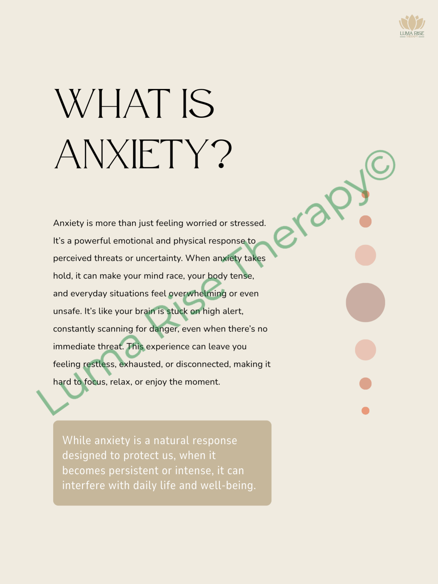Finding Calm in Chaos: Guided Anxiety Workbook for Adults product image (4)