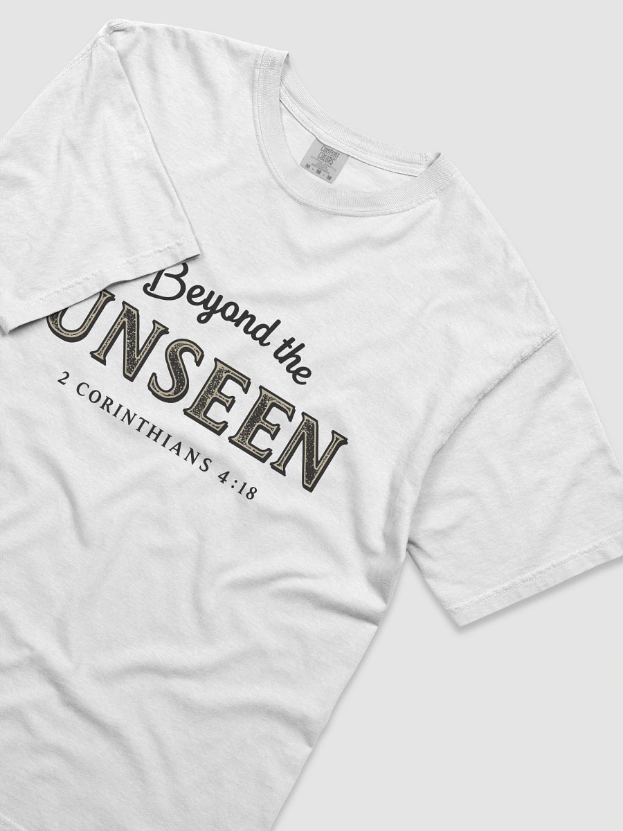 Beyond the Unseen Heavyweight Tee product image (5)