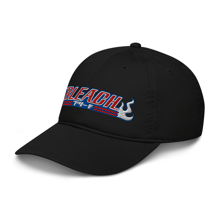 Bleach Flames Organic Dad Hat product image (4)