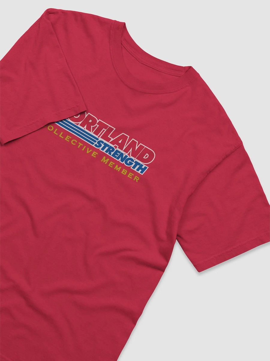Executive Club Premium Heavyweight T-shirt (color) product image (27)