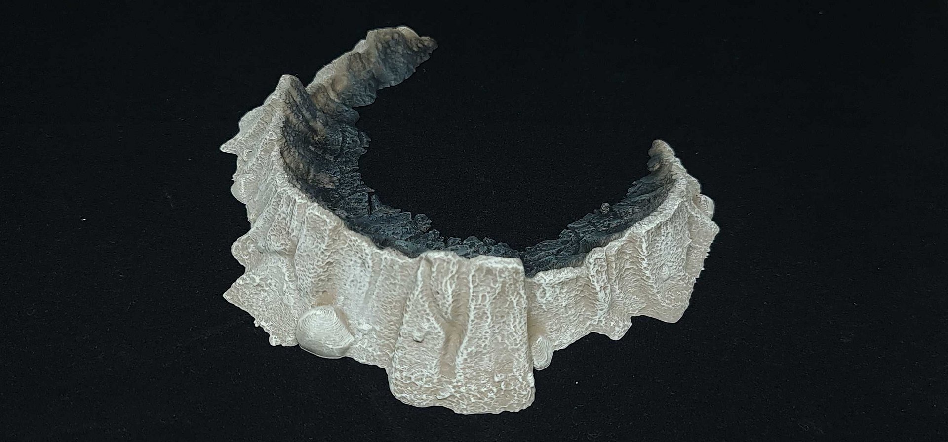 Crater #7 - TWZ product image (2)