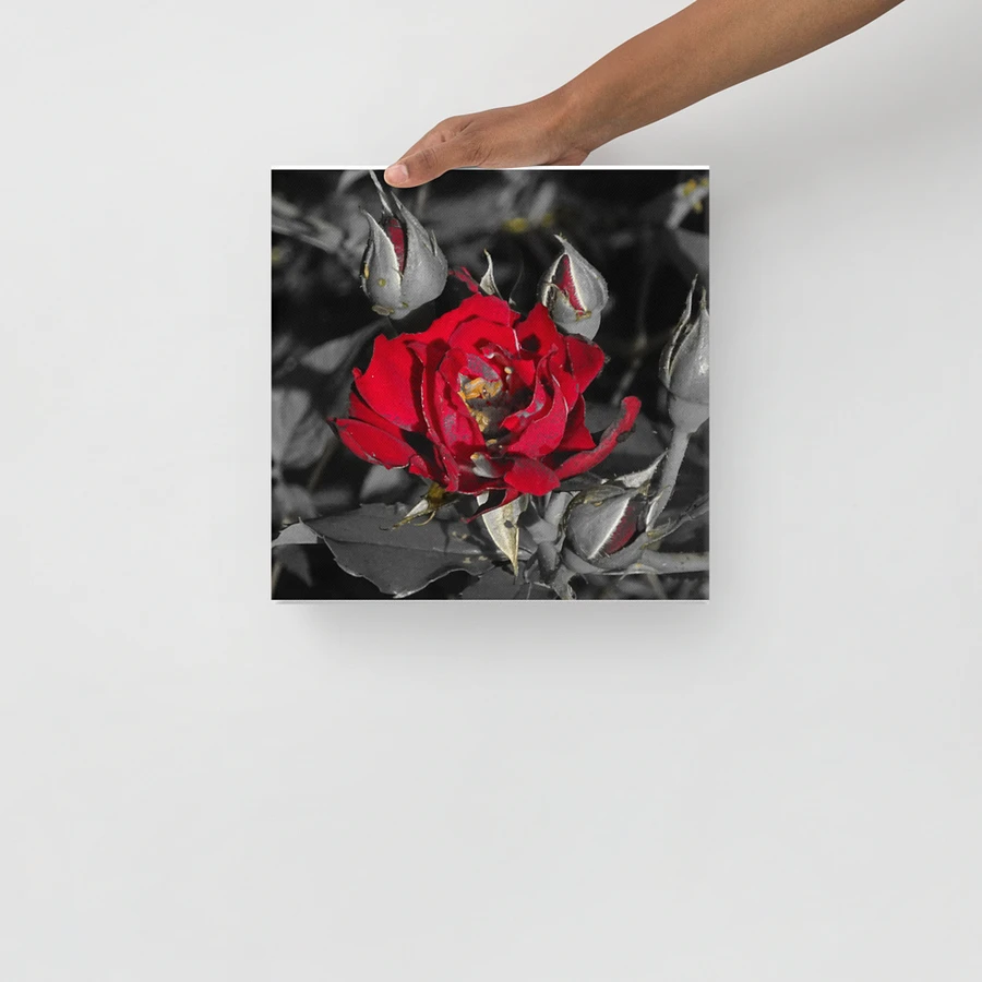 Rose on Canvas product image (13)