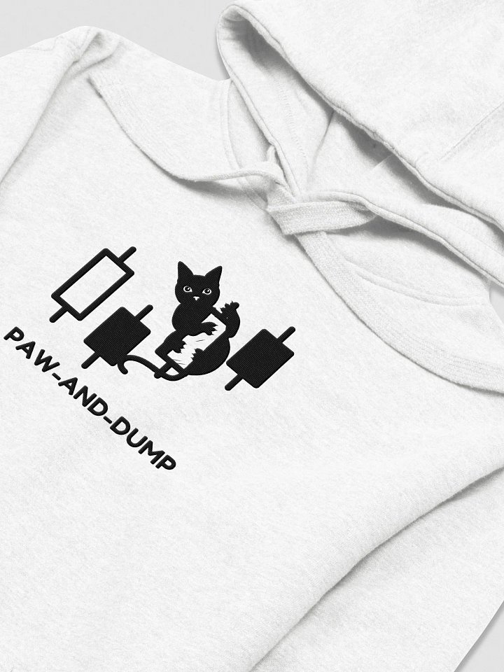 Paw-And-Dump | Crypto Cat Embroidered Hoodie product image (2)