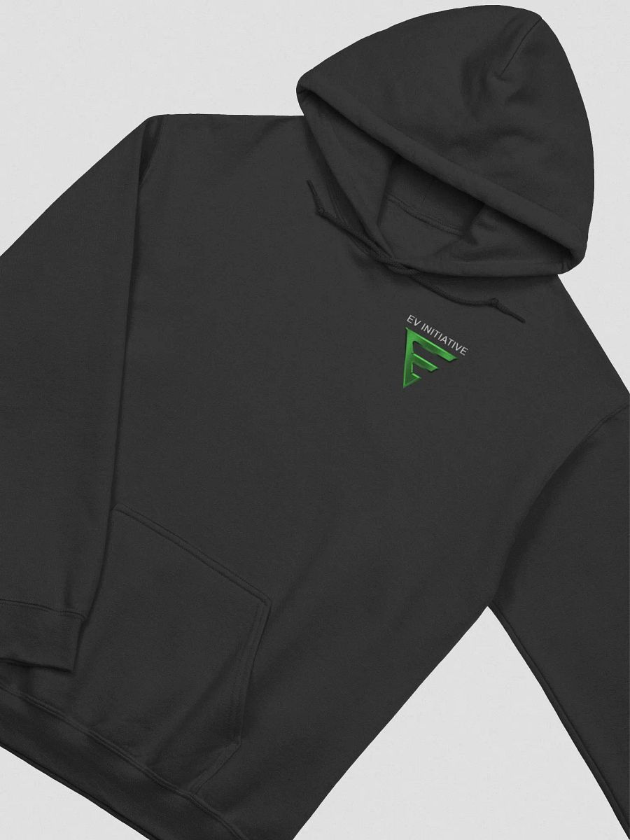 Champion Initiative Hoodie product image (3)