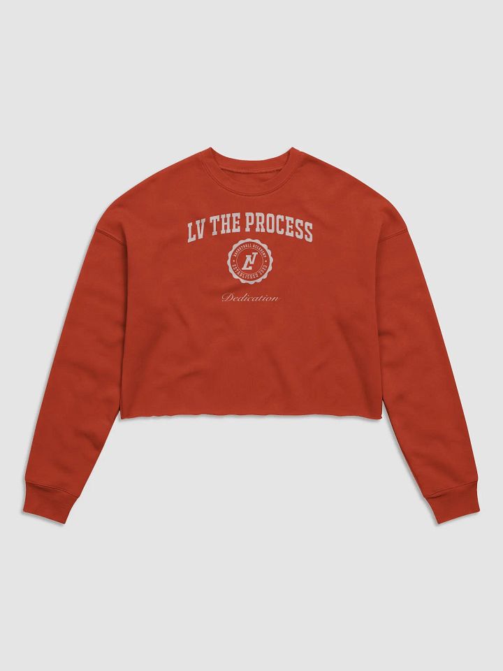 Cropped Collegiate Pullover product image (1)