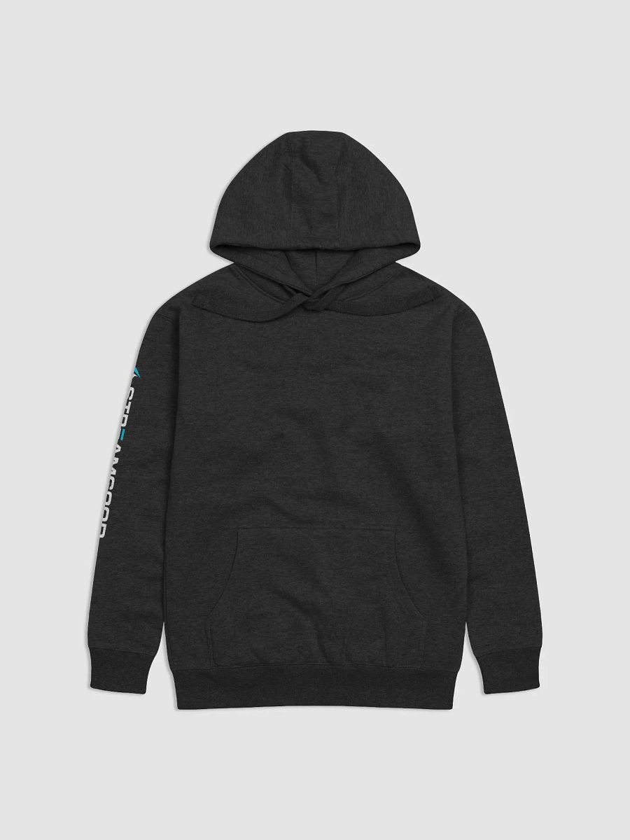 StreamGood Hoodie (Logo on Back) product image (11)