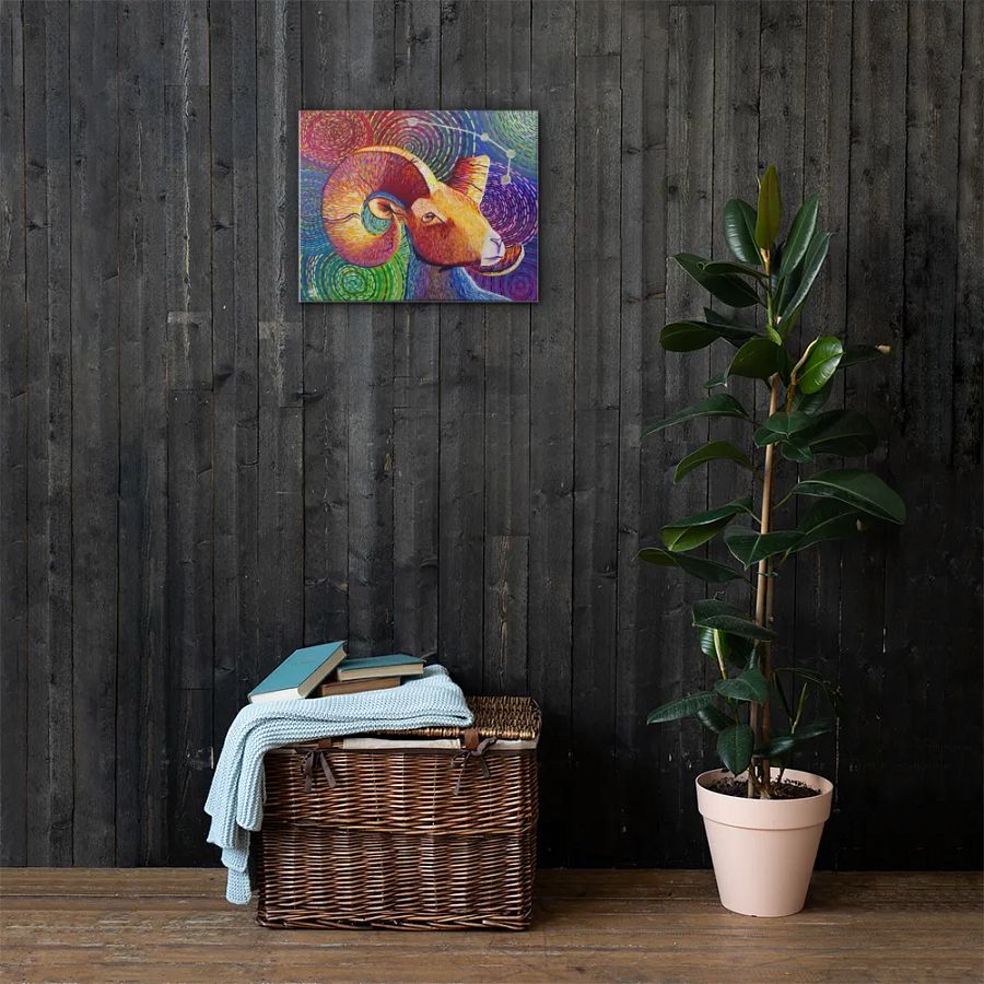 Aries Aurora product image (3)