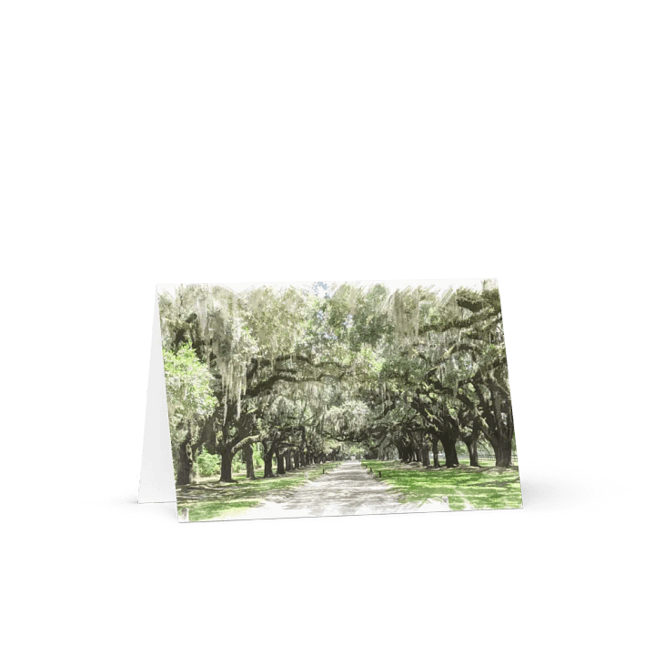 Avenue of the Oaks, Boone Hall Plantation Notecard product image (1)