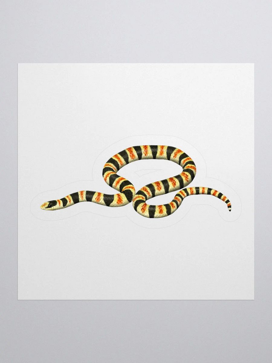 Die-Cut Sticker – Resplendent Shovelnosed Snake product image (1)
