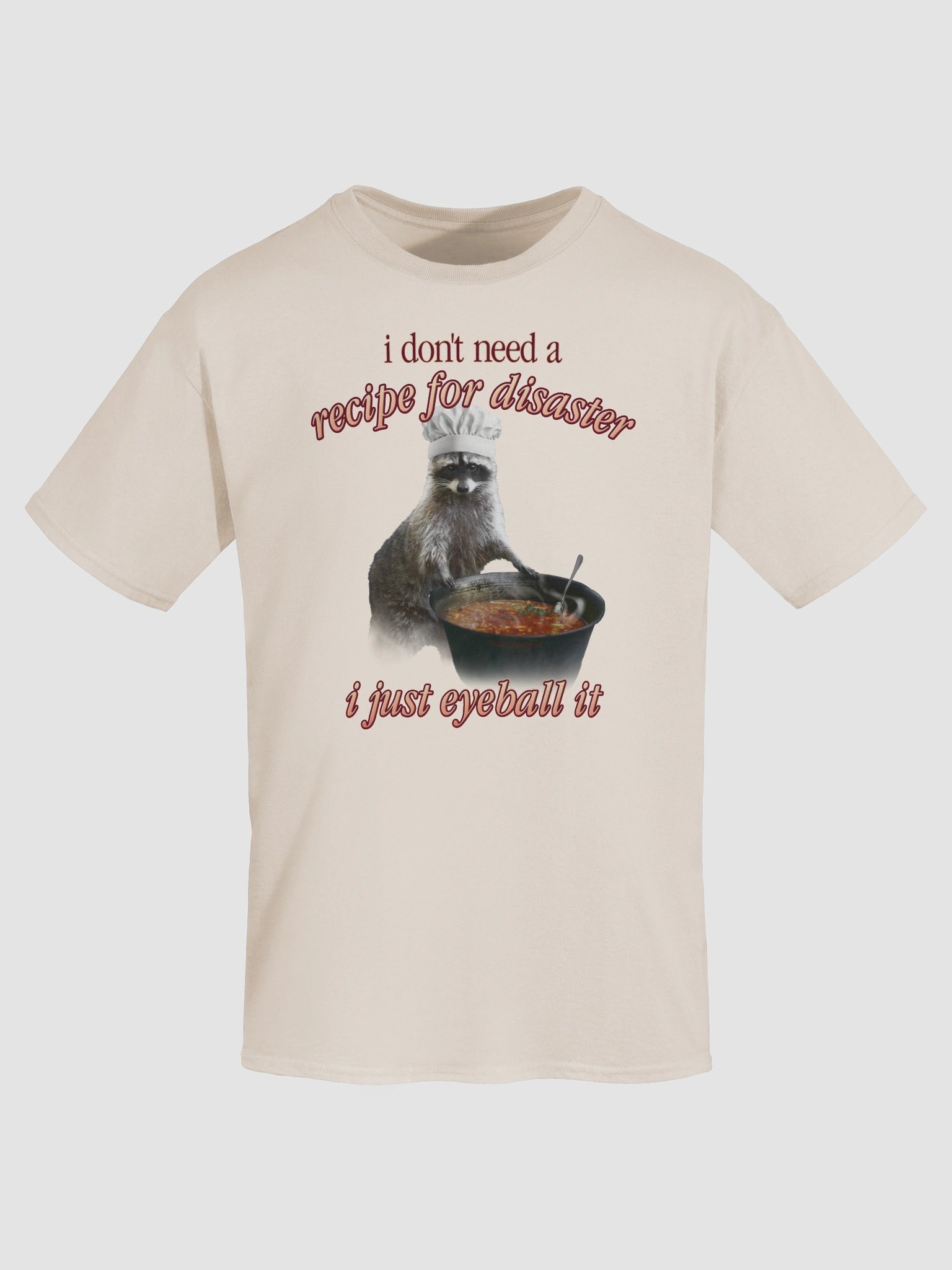 Recipe for Disaster Raccoon T-shirt product image (7)