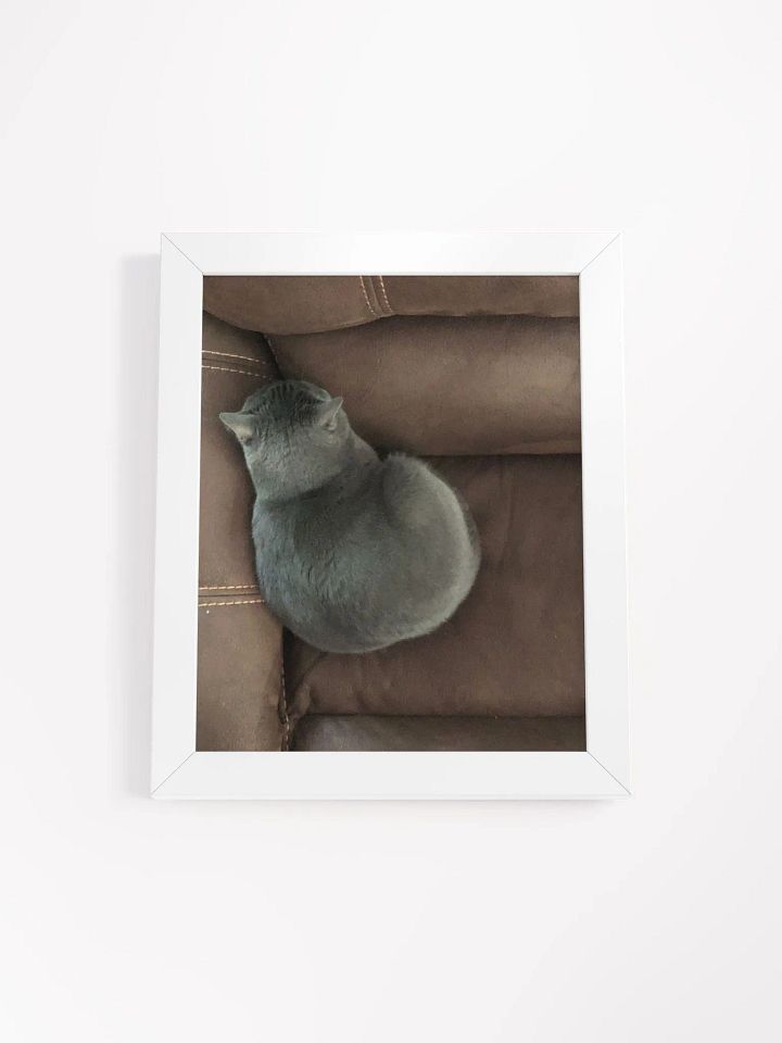 Sansa Kitty Couch Corner High Quality Matte Poster product image (1)