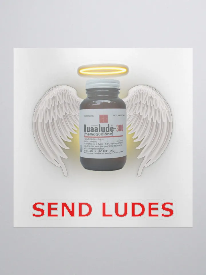 Send Ludes Sticker product image (1)